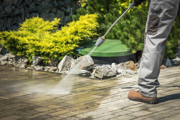 Best Pre-Holiday Cleaning  in Oyster Creek, TX