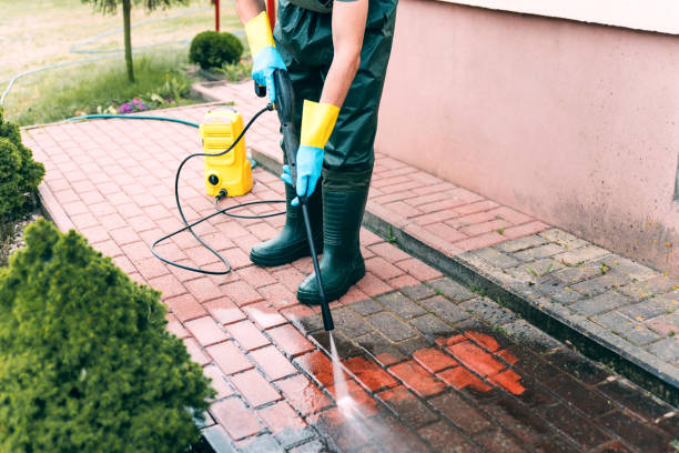 Best Residential Exterior Washing  in Oyster Creek, TX